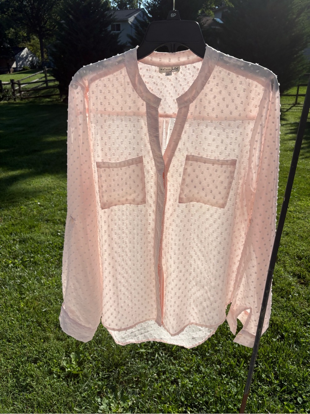 Maison Jules Sheer Light Pink Swiss Dot Blouse